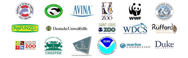 WDCS / WWF - Perú / CSI / Marine Connection / AVINA / Oregon Zoo / Saint Louis Zoo / Cleveland Zoo / Rufford Small Grants / GRD / Rapunzel / Hand to Hand / DUH / Chester Zoo / NOAA / Sphenisco / Duke